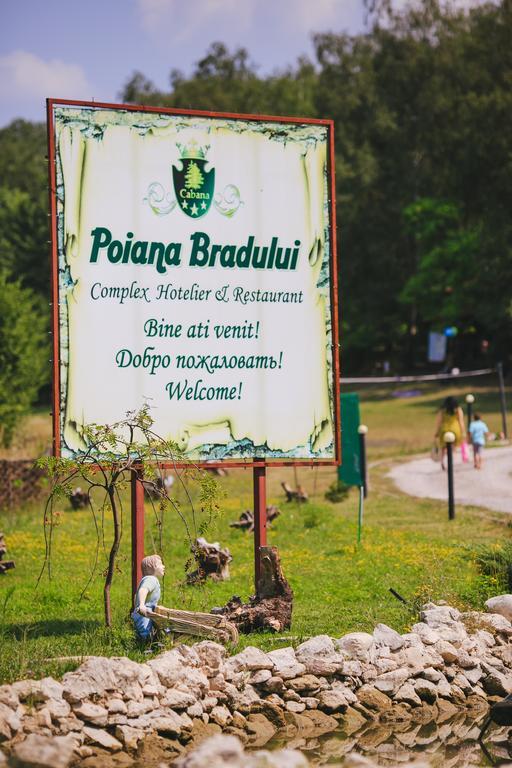 فيلا Tohatinفي Poiana Bradului المظهر الخارجي الصورة